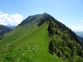 Buochserhorn