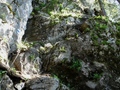 Gitzitritt
