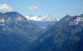 Rosenhorn, Mittelhorn, Wetterhorn