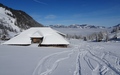 Alpelen