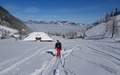 Alpelen