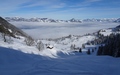 Alpelen