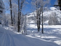 Beckenrieder Berg