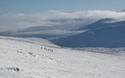 Winterwandelaars