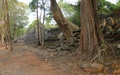 Beng Mealea