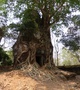 Koh Ker: Prasat Pram