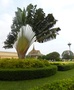 Phnom Penh: Koninklijk Paleis