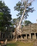 Preah Khan