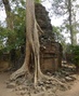 Ta Prohm