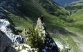 Klettersteig Fruttstägä