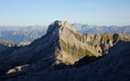 Altmann