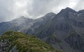 Ladholzhore, Winterhore, Männliflue