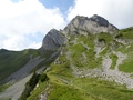Tierlaufhorn