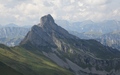 Tierlaufhorn
