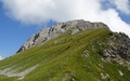 Wiriehorn