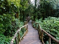 Doi Inthanon