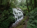 Doi Inthanon: Kew Mae Pan Trail