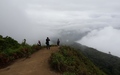 Doi Inthanon: Kew Mae Pan Trail