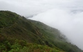 Doi Inthanon: Kew Mae Pan Trail