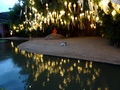 Wat Phan Tao