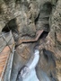 Cholerenschlucht