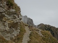 Gustispitz