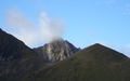 Ochse