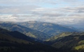 Schwyberg