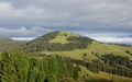 Selibüel