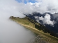 Stubeflue