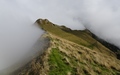 Stubeflue