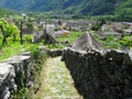 Maggia