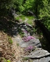 Valle di Ringio