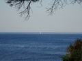 Ligurische Zee