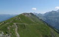 Fisetengrat
