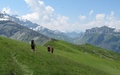 Fisetengrat richting Klausenpass