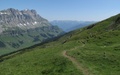 Gemsfairen