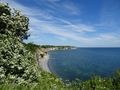 Stevns Klint