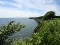 Stevns Klint