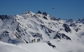 Gfroren Horn