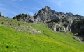 Dejenstock