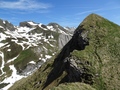 Dejenstock
