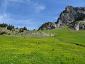 Scheiterböden