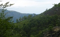 Alpe Cavrua