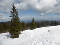 Feldberg