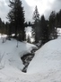 Feldberg