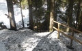 Feldberg