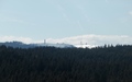 Feldberg