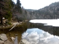 Feldsee