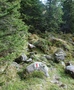 Fürstein